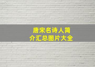 唐宋名诗人简介汇总图片大全