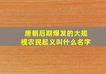 唐朝后期爆发的大规模农民起义叫什么名字