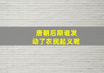 唐朝后期谁发动了农民起义呢