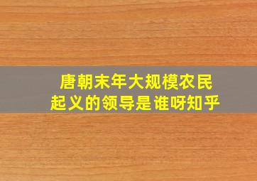 唐朝末年大规模农民起义的领导是谁呀知乎