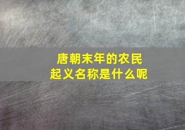 唐朝末年的农民起义名称是什么呢