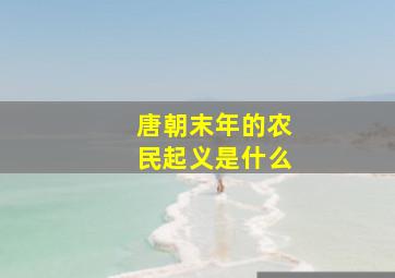 唐朝末年的农民起义是什么