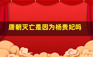 唐朝灭亡是因为杨贵妃吗