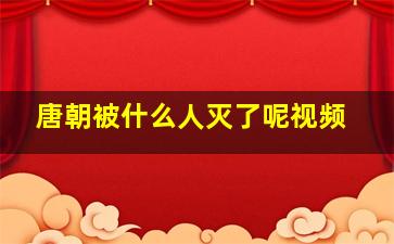 唐朝被什么人灭了呢视频