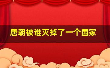 唐朝被谁灭掉了一个国家