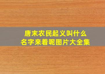 唐末农民起义叫什么名字来着呢图片大全集