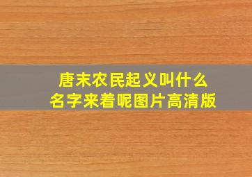 唐末农民起义叫什么名字来着呢图片高清版