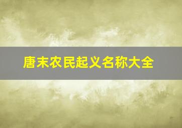 唐末农民起义名称大全