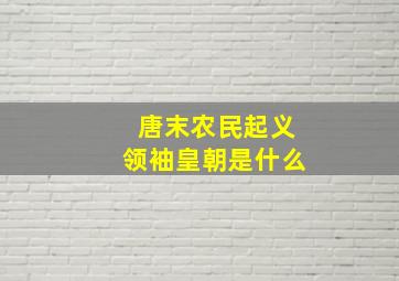 唐末农民起义领袖皇朝是什么