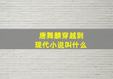 唐舞麟穿越到现代小说叫什么