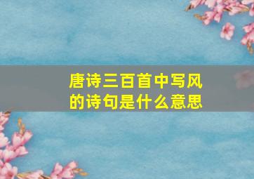 唐诗三百首中写风的诗句是什么意思