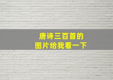 唐诗三百首的图片给我看一下