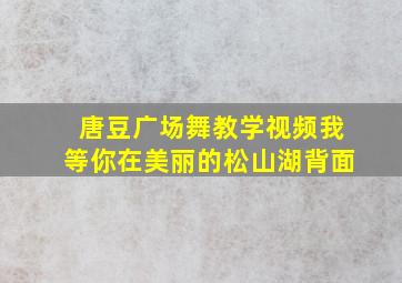 唐豆广场舞教学视频我等你在美丽的松山湖背面