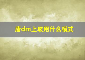 唐dm上坡用什么模式