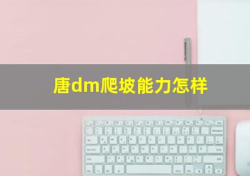 唐dm爬坡能力怎样