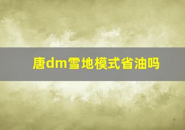 唐dm雪地模式省油吗