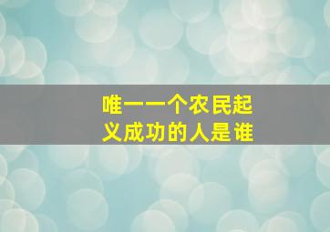 唯一一个农民起义成功的人是谁