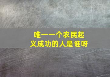 唯一一个农民起义成功的人是谁呀