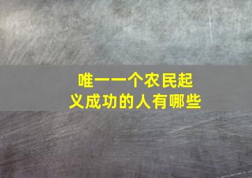 唯一一个农民起义成功的人有哪些