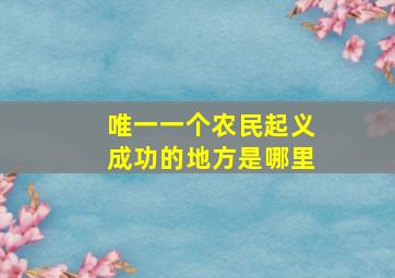 唯一一个农民起义成功的地方是哪里