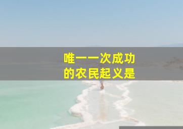 唯一一次成功的农民起义是