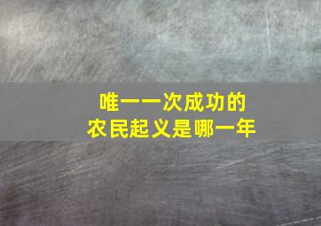 唯一一次成功的农民起义是哪一年