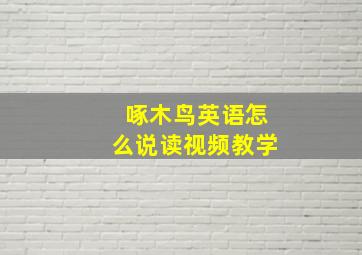 啄木鸟英语怎么说读视频教学