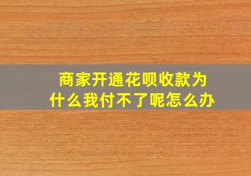 商家开通花呗收款为什么我付不了呢怎么办