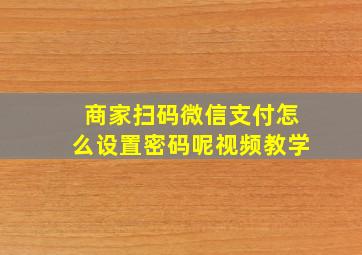 商家扫码微信支付怎么设置密码呢视频教学