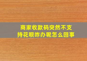 商家收款码突然不支持花呗咋办呢怎么回事