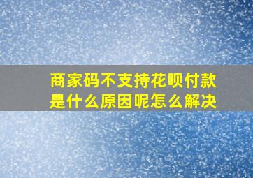 商家码不支持花呗付款是什么原因呢怎么解决