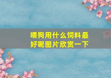 喂狗用什么饲料最好呢图片欣赏一下