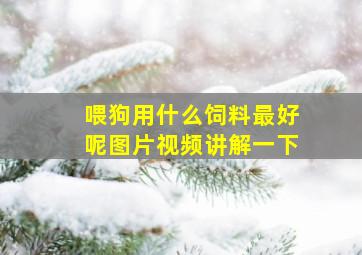 喂狗用什么饲料最好呢图片视频讲解一下