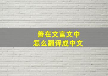 善在文言文中怎么翻译成中文