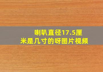 喇叭直径17.5厘米是几寸的呀图片视频