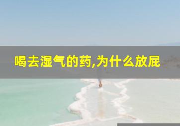 喝去湿气的药,为什么放屁