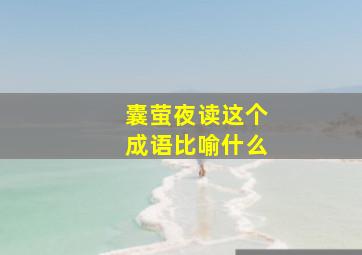 囊萤夜读这个成语比喻什么