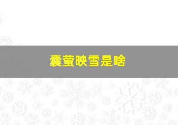 囊萤映雪是啥