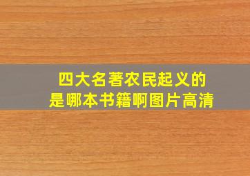 四大名著农民起义的是哪本书籍啊图片高清