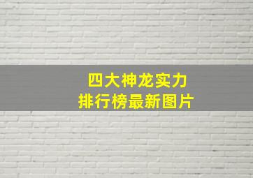 四大神龙实力排行榜最新图片