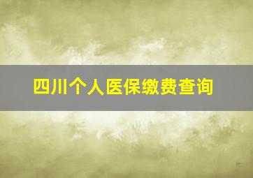 四川个人医保缴费查询