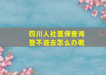 四川人社医保查询登不进去怎么办呢