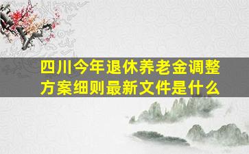 四川今年退休养老金调整方案细则最新文件是什么