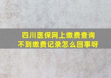 四川医保网上缴费查询不到缴费记录怎么回事呀