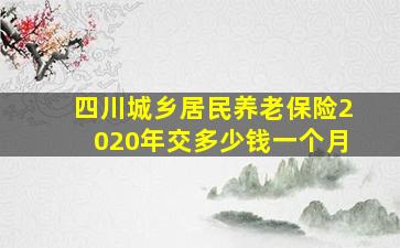 四川城乡居民养老保险2020年交多少钱一个月