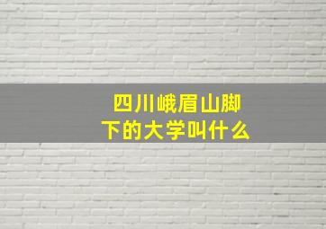 四川峨眉山脚下的大学叫什么