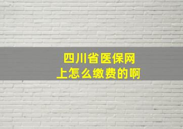 四川省医保网上怎么缴费的啊