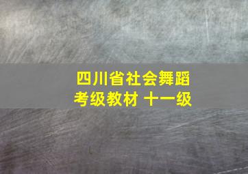 四川省社会舞蹈考级教材 十一级