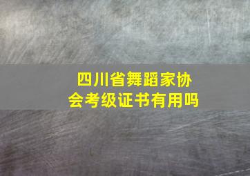 四川省舞蹈家协会考级证书有用吗