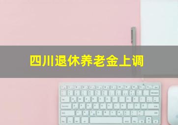 四川退休养老金上调